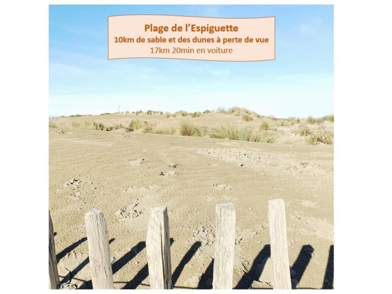 Suite Thalassa 1Ere Ligne Plages Du Couchant Wifi - Rossiconciergerie - Linge Inclus Λα Γκραντ-Μοτ Εξωτερικό φωτογραφία